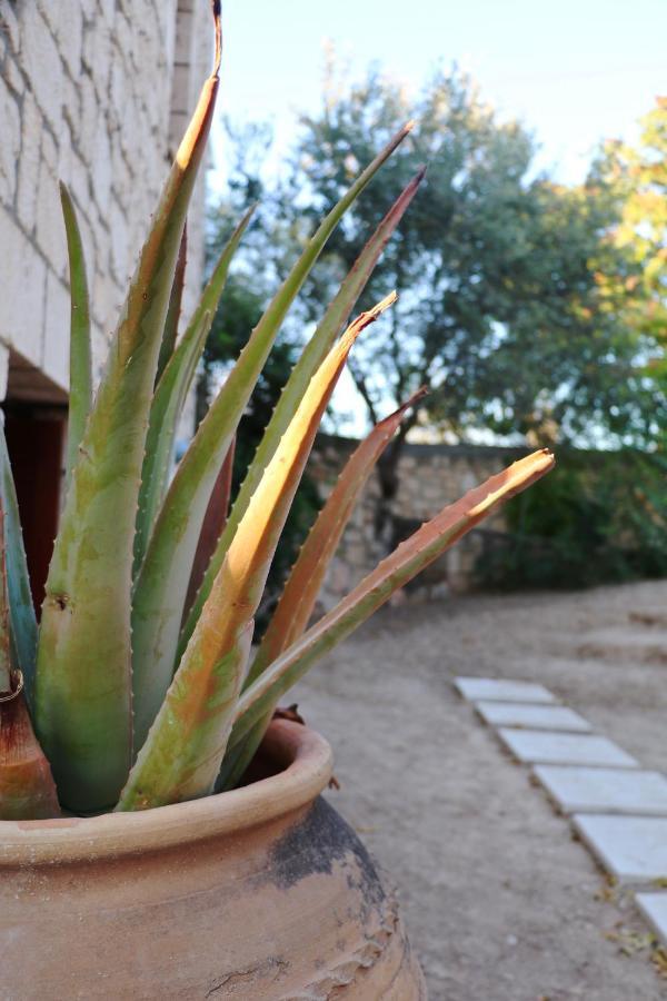 Pyrgos Ralli Estate Guesthouse Aegina Exteriör bild